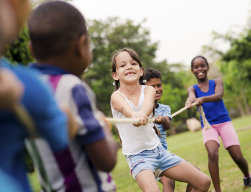 Summer adventures in the park